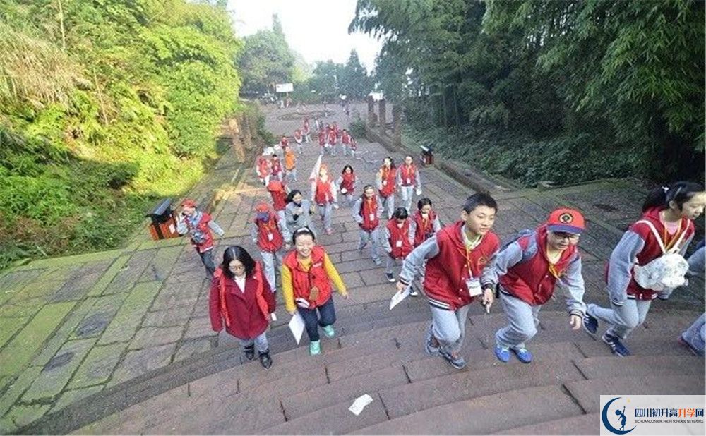 成都市泡桐樹中學和樹德中學誰好？
