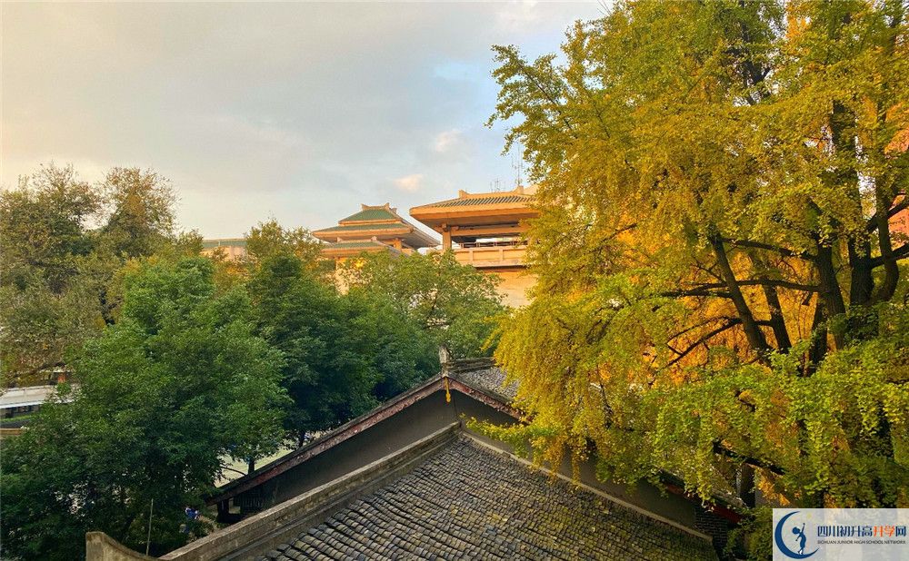 成都市泡桐樹中學(xué)平行班與實驗班差多少？