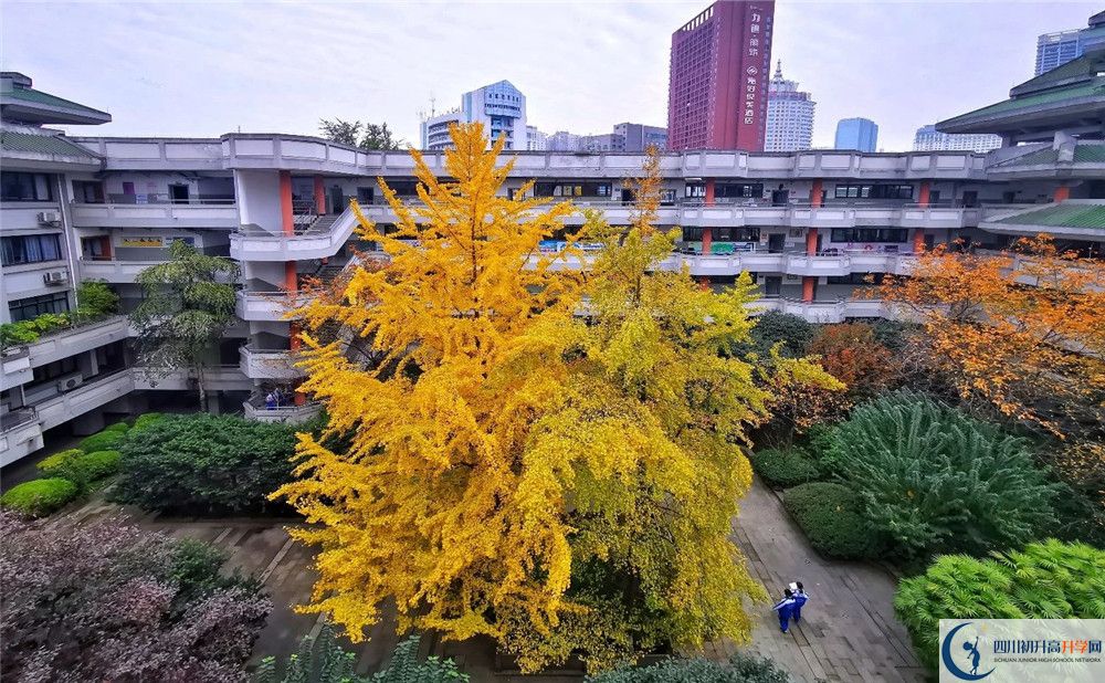 成都市泡桐樹中學2020年全國排名？