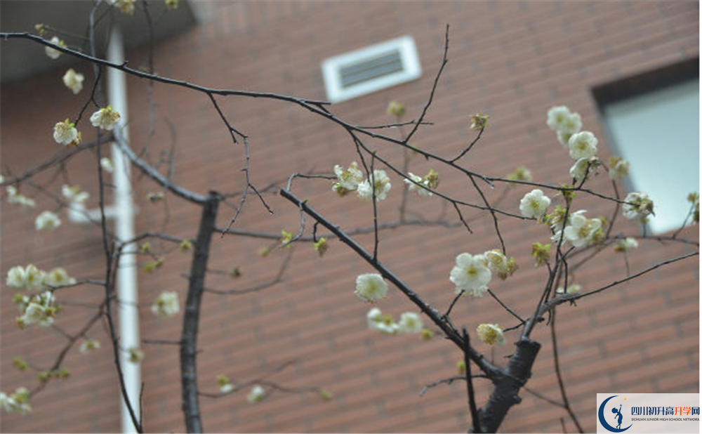 成都市華陽中學(xué)是私立還是公立學(xué)校？