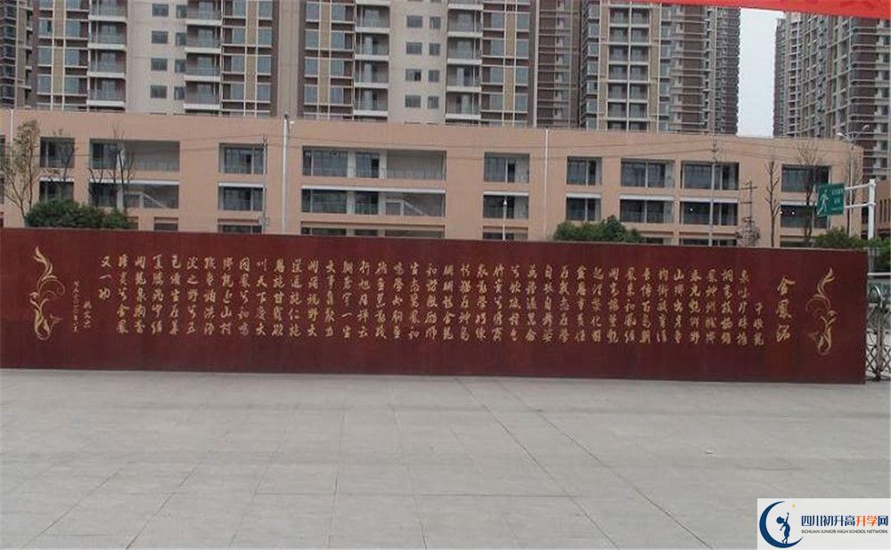 成都經(jīng)濟技術(shù)開發(fā)區(qū)實驗中學(xué)2020年全國排名是多少？