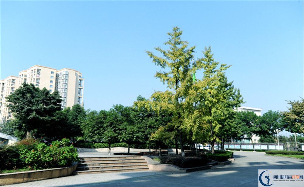 2020成都棠湖外國(guó)語(yǔ)學(xué)校期末試卷數(shù)學(xué)在哪里看？