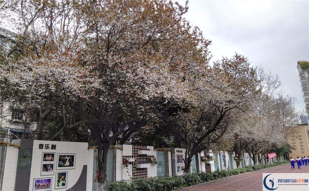 2020成都大學附屬中學平行班升學率是多少？