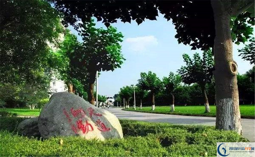 成都樹德中學(xué)補(bǔ)課嗎？