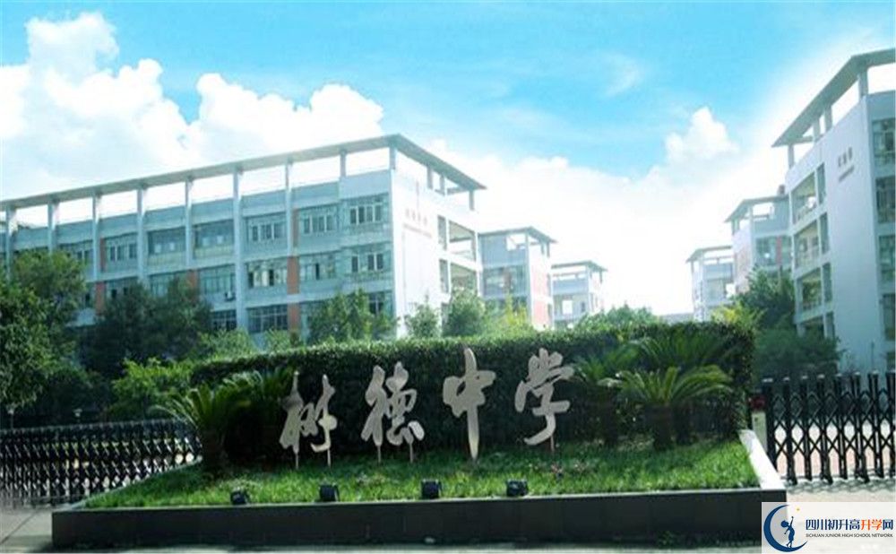 成都樹(shù)德中學(xué)光華校區(qū)補(bǔ)課嗎？