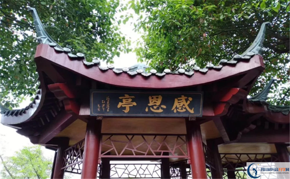 石室白馬中學(xué)補課嗎？