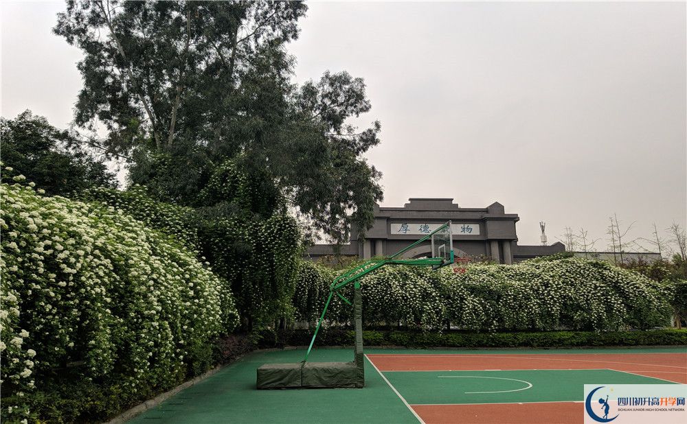 成都大學(xué)附屬中學(xué)2020年中考錄取分?jǐn)?shù)線是多少？