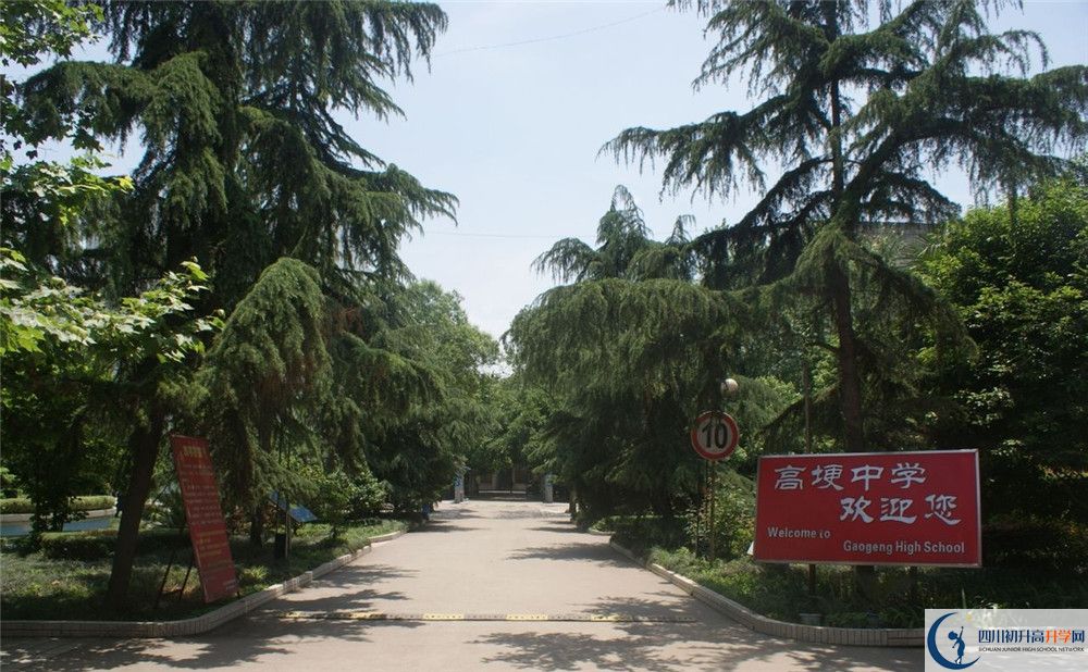 高埂中學高三診斷考試時間怎么安排？