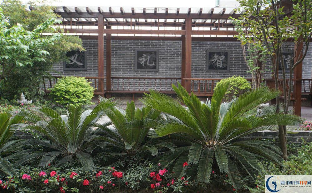 2020成都八中考自主招生條件是什么，有何變化？