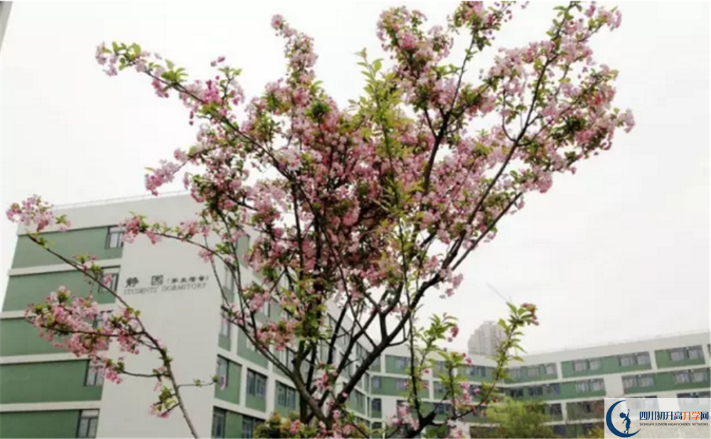 四川省綿陽(yáng)外國(guó)語(yǔ)學(xué)校2020年開(kāi)學(xué)時(shí)間安排是怎么樣的？