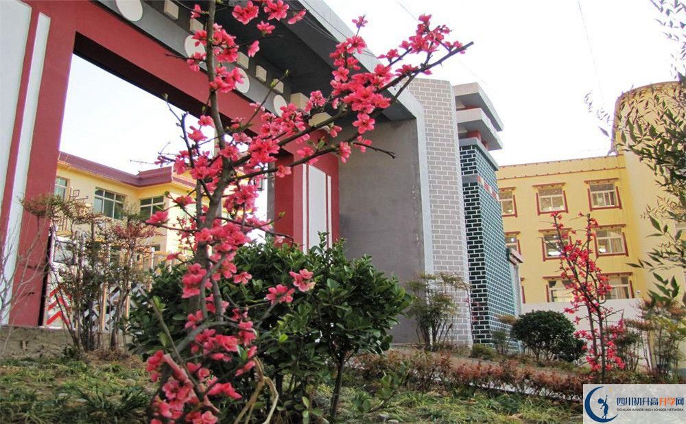 金川中學今年的錄取條件是否有變化？