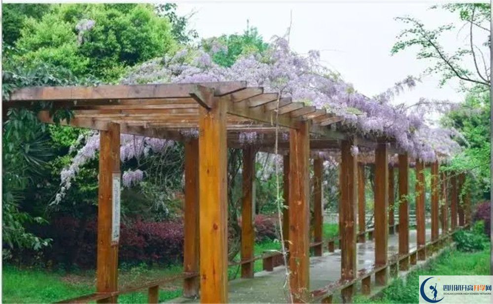 廣安花橋中學(xué)高三診斷考試時間怎么安排？