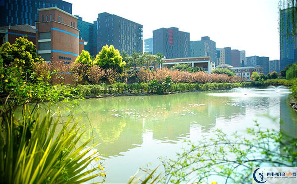 成都美視國際2020年怎么報名？