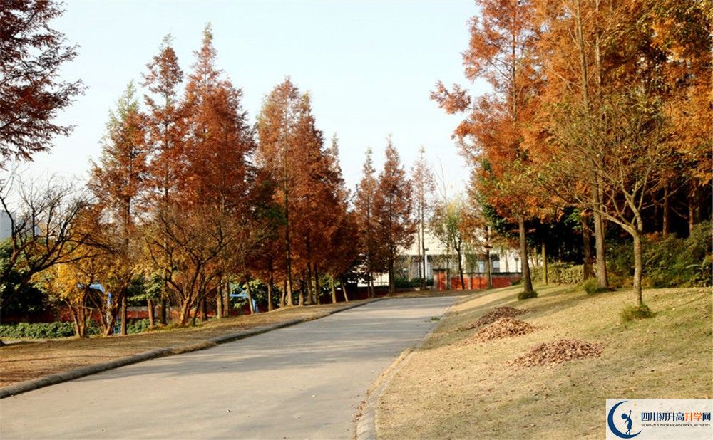 2020年成都實驗外國語學(xué)校西區(qū)住宿條件怎么樣？
