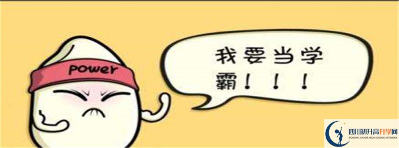 北二外成都附中2021清華北大錄取學生多少？
